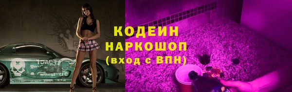 индика Семикаракорск