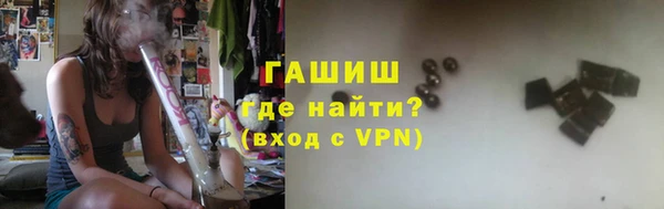 дмт Бородино