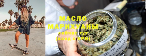 дмт Бородино