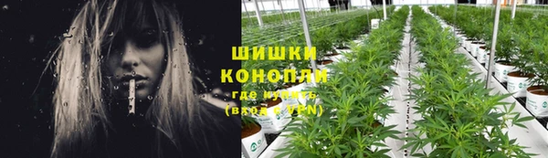 мдпв Бугульма