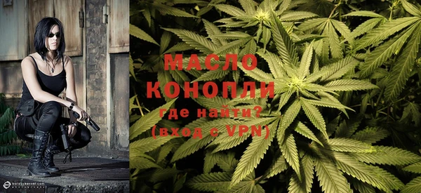 дмт Бородино